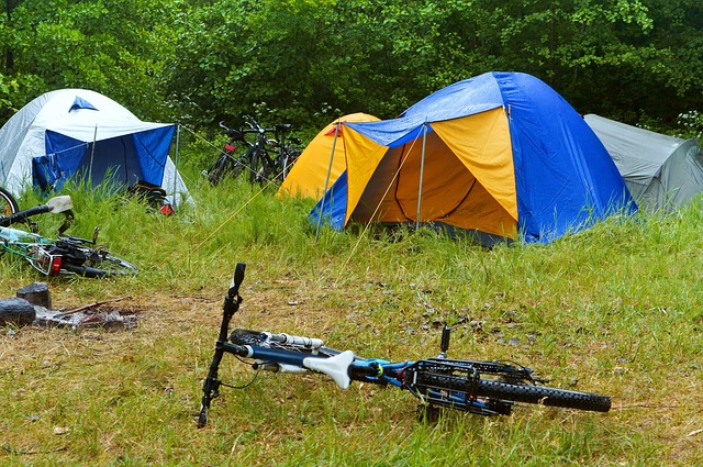 Le camping Chevreuils, une expérience atypique pour des vacances écolo dans les Landes